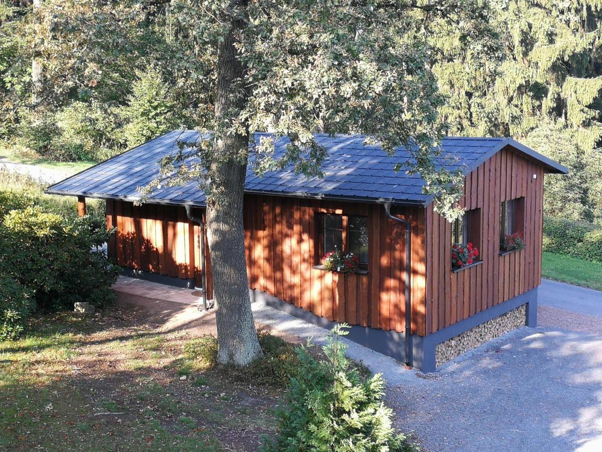 Haus Waldfrieden Appartement Altenberg Buitenkant foto