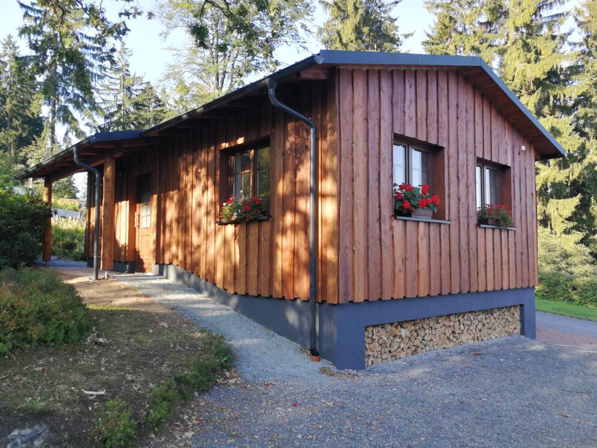 Haus Waldfrieden Appartement Altenberg Buitenkant foto