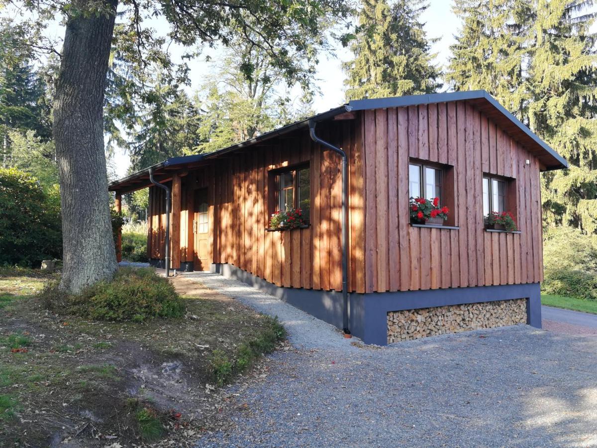 Haus Waldfrieden Appartement Altenberg Buitenkant foto